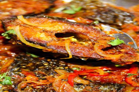 Peppered Cat Fish